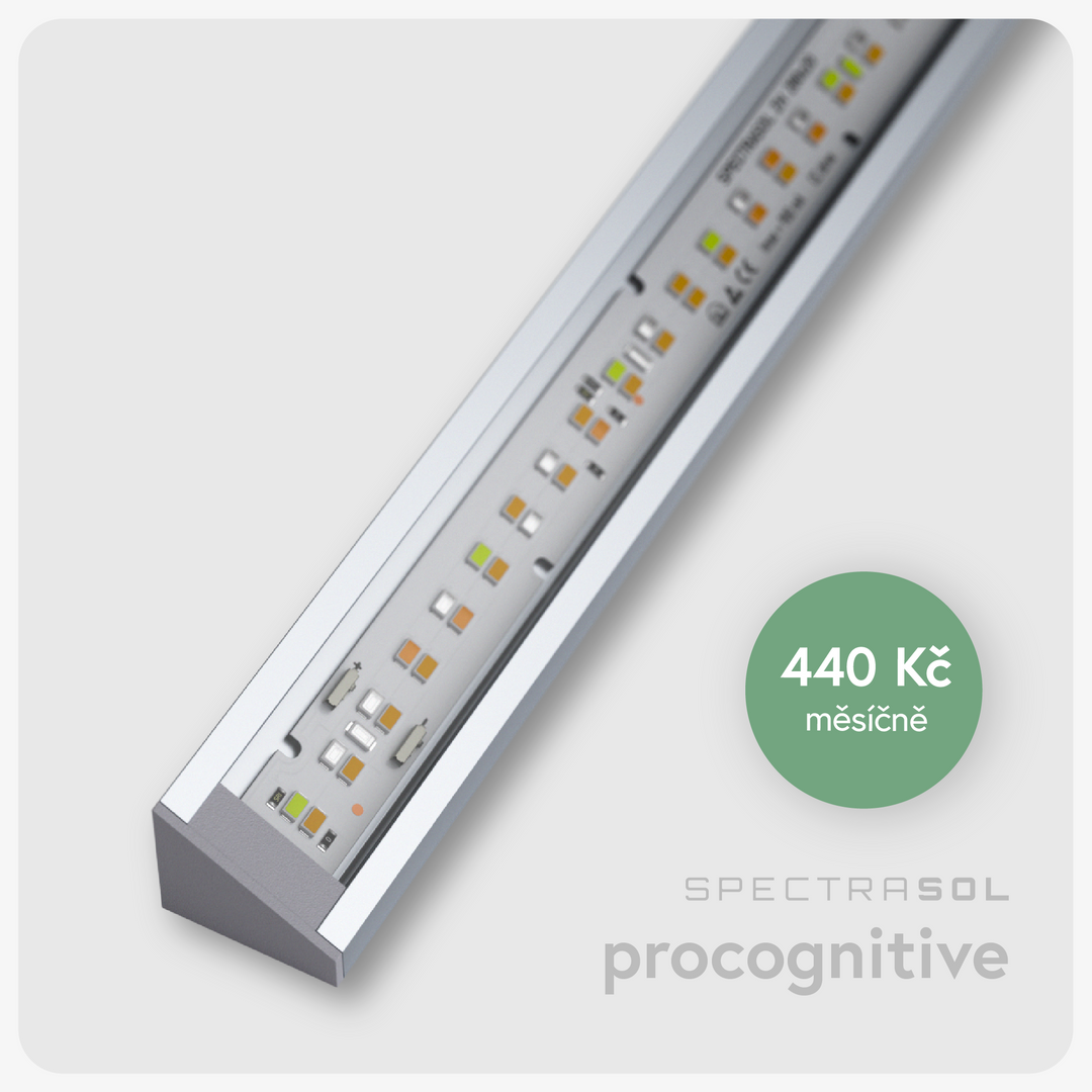 Procognitive Linear Luminaire Deposit