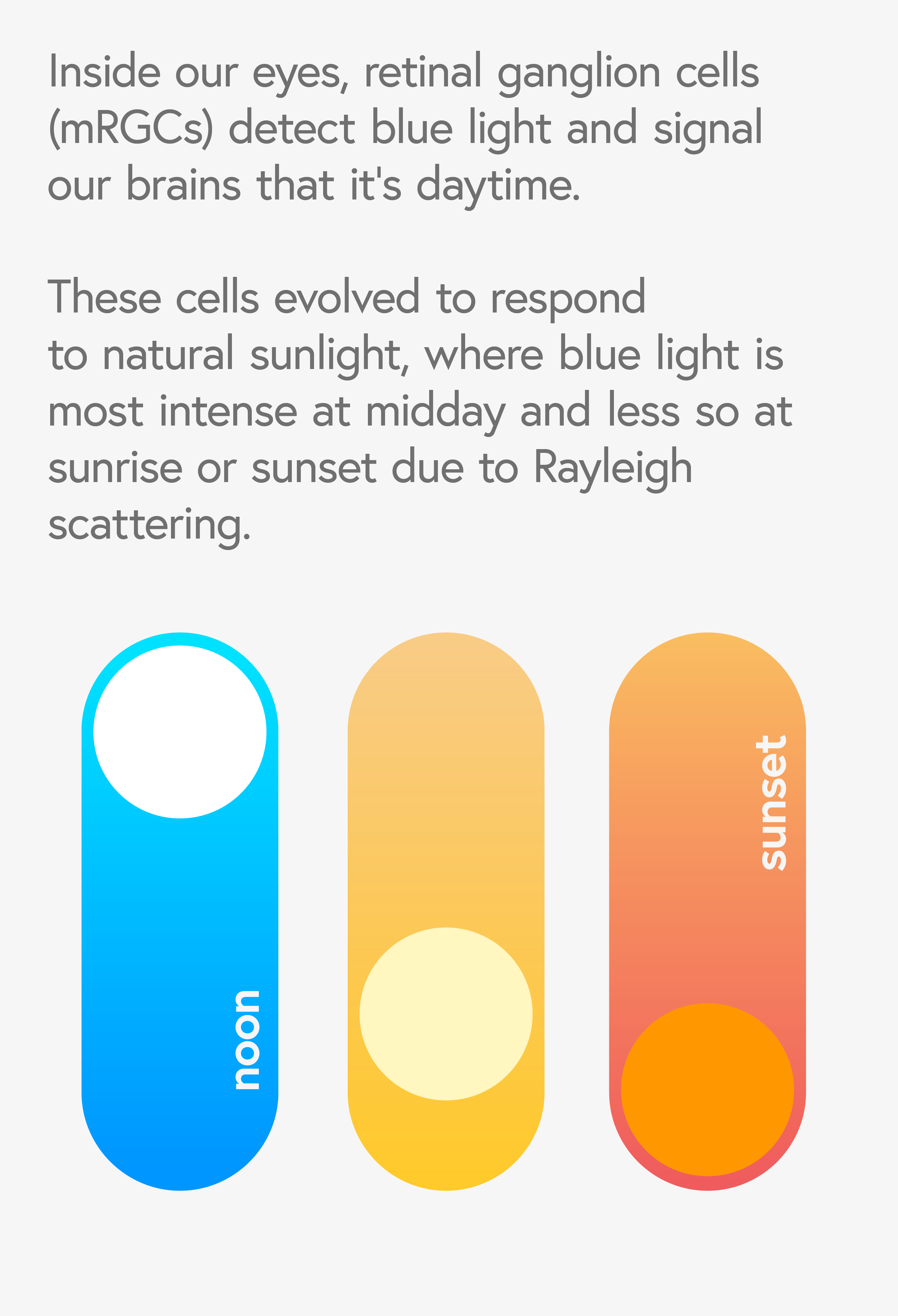 Illustration showing how retinal ganglion cells (mRGCs) detect blue light at different times of day: noon, sunset, and their response to natural sunlight patterns.